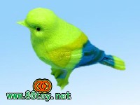 声控鸟 (大)