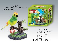 录音单鹦鹉鸟