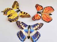 会飞的蝴蝶 纸质