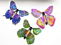 会飞的蝴蝶 光膜