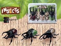 上链发条甲壳虫(3只套装)