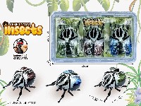 上链发条大王花金龟(3只套装)