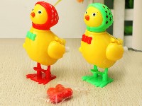上链摇摆生蛋鸡(1只)