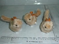 上链毛绒松鼠