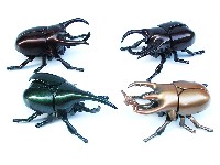 上链格斗甲虫(1只)