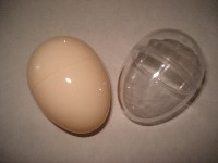 008蛋壳