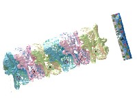 小鱼摇铃 (12支)